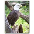 thumbnail image 1 of Picture-Tiles.com: Bird Ceramic Tile Wall Mural WAL500144-34L. 24"W x 32"H using (12) 8" x 8" Ceramic Tiles-Satin Finish, 1 of 3
