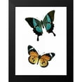 thumbnail image 2 of Allen, Kimberly 12x14 Black Modern Framed Museum Art Print Titled - Fly Free 2, 2 of 5