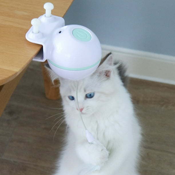 Cat laser top toy walmart