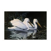 Trademark Fine Art 'Pelicans Swimming' Canvas Art by Michael Budden