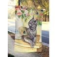 thumbnail image 2 of Carolines Treasures CDCO0035CHF Cat & Peacock Feathers Flag Canvas House Size, 2 of 4