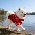 thumbnail image 4 of FOMIYES 1Jgo De Para Perro Con Dos Patas Y De, 4 of 6