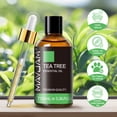 thumbnail image 3 of MAYJAM 3.38 Fl Oz Tea Tree Essential Oils for Diffuser, Candle Making, 3 of 9