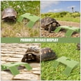 thumbnail image 3 of BRIGHTFUFU Plataforma Para Solar De Reptiles Con Superficie Lisa Y Resistente De Plástico, 3 of 7
