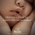 thumbnail image 4 of Pañales Pampers Amore talla 1 (4-6 kg) 82 unidades hipoalergénicos, 4 of 9