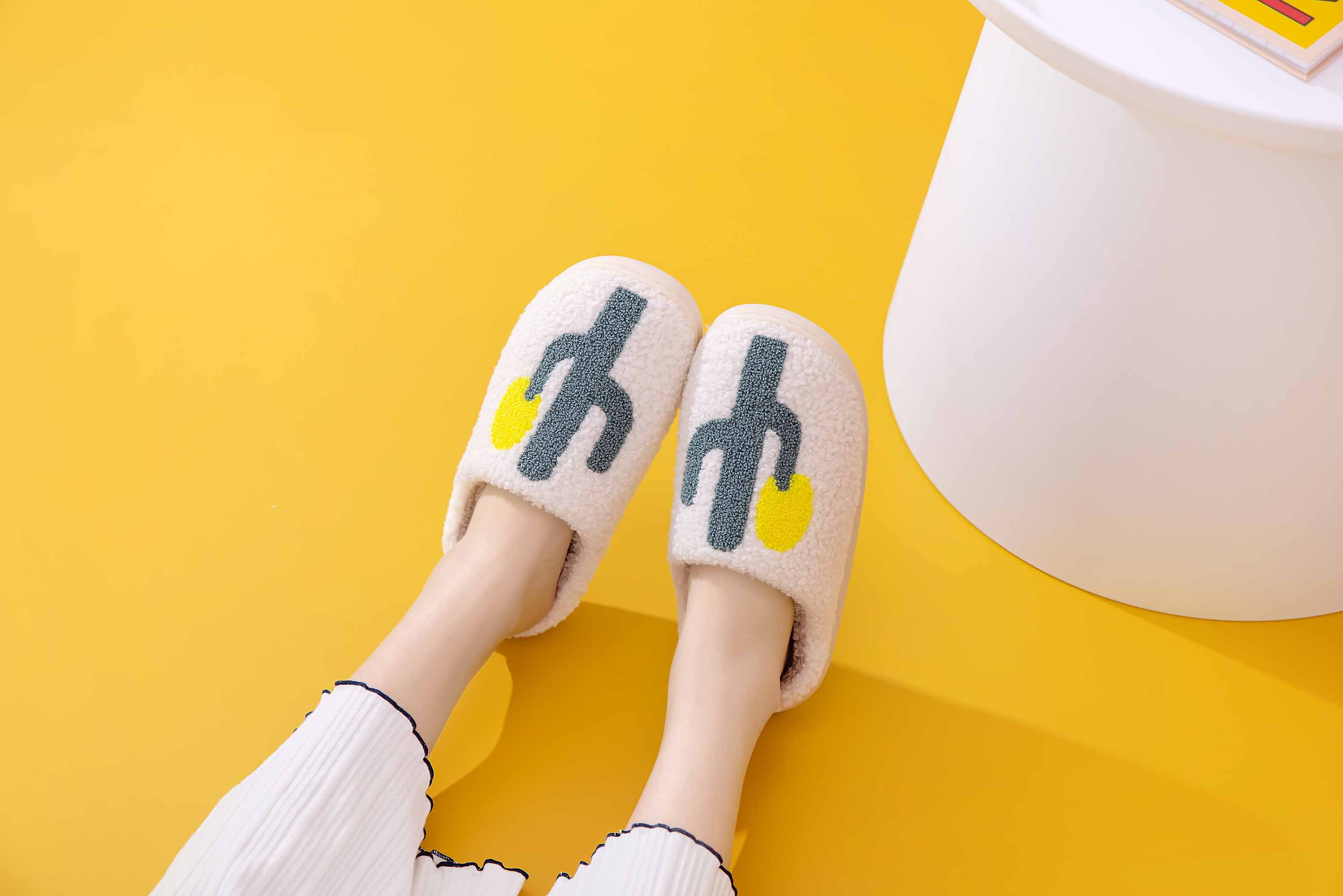 Women Cute Soft Plush Comfy Warm Winter Slipper (Cactus / M)
