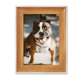 thumbnail image 1 of Bulldog Pet Animal Frightful Picture Desktop Wooden Photo Frame Display Picture Art Painting Multiple Sets, 1 of 3