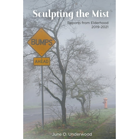 Sculpting the Mist, (Paperback)