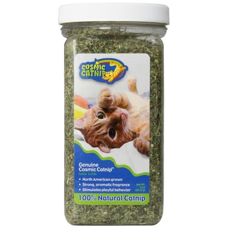 Catnip Terry Cat - Cosmic Catnip Genuine Catnip Cat Treat, 3 oz.