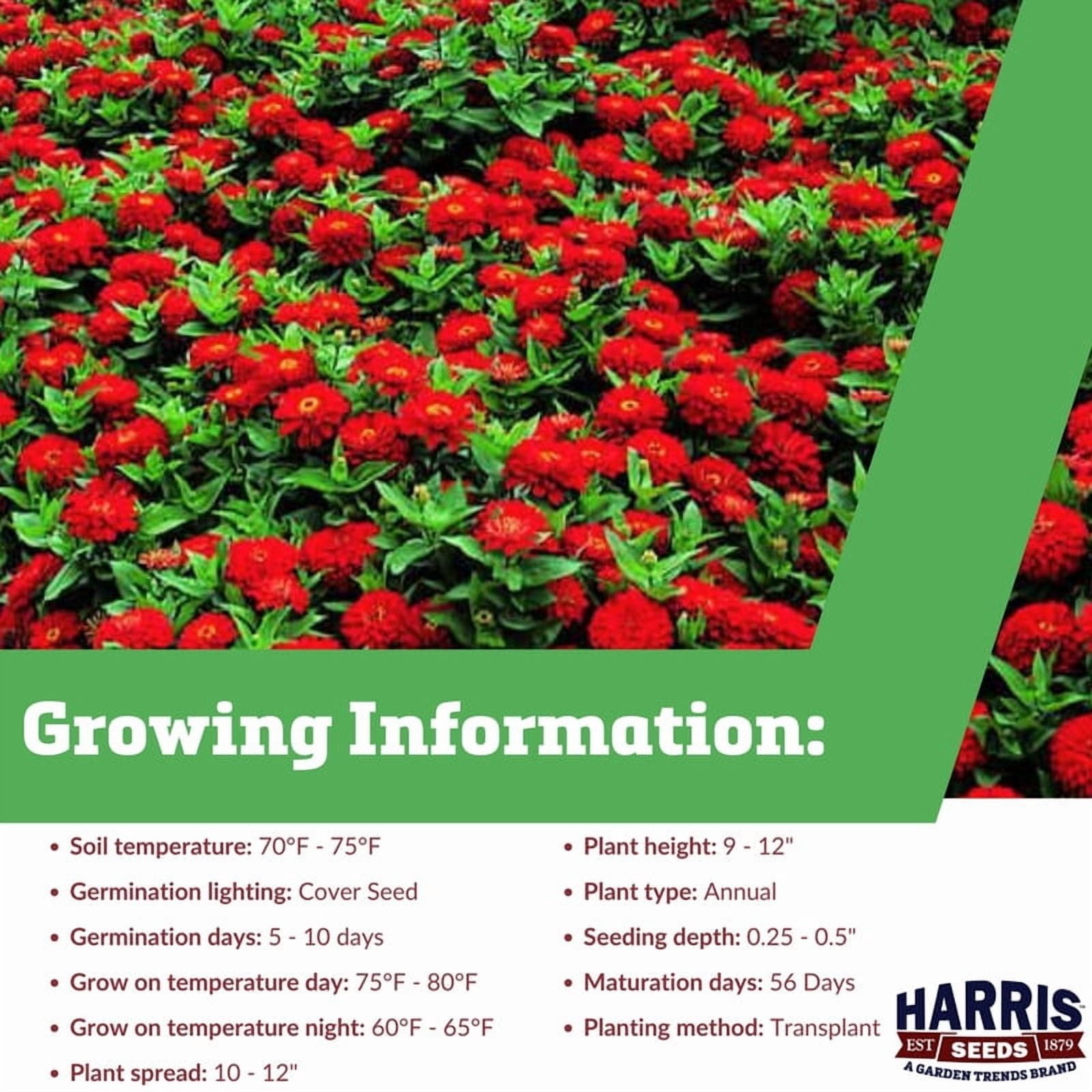 Harris Seeds Zinnia Dreamland Red F1, Non-GMO Annual Flower, 250 Count