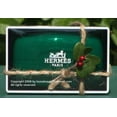thumbnail image 2 of Hermes Jumbo Soaps Eau d'Orange Verte Gift Soap, 3 Bar Soaps/5.2 Oz, 2 of 3