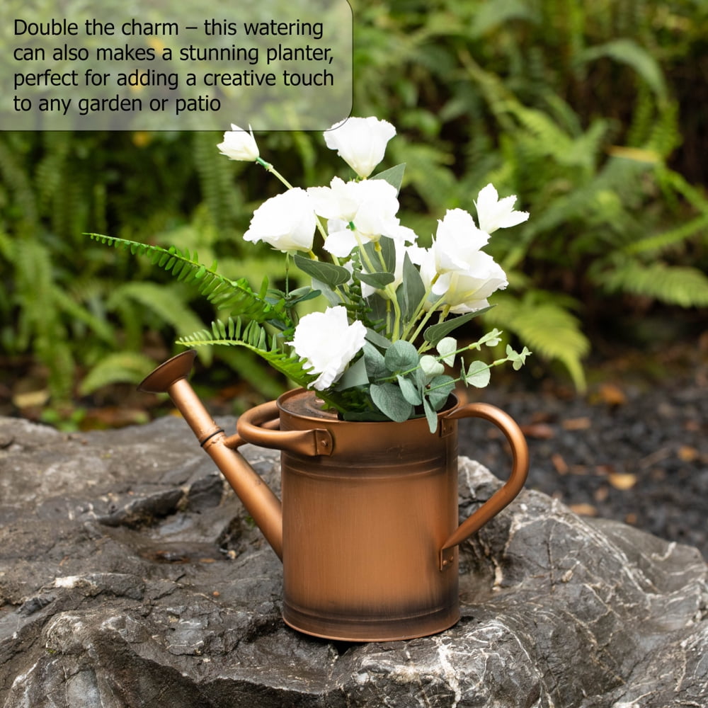 1-Gallon Steel Watering Can with Removable Sprinkler Head Ideal for Indoors & Outdoors, Bronze