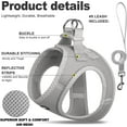 thumbnail image 2 of Fida Cat Harness and Leash Set for Walking Kitten and Puppy, Escape Proof Kitten Harness with Breathable Lightweight Soft Mesh, Adjustable Reflective Step-in Design for Kitten and Puppy.(XXXS, Grey), 2 of 7