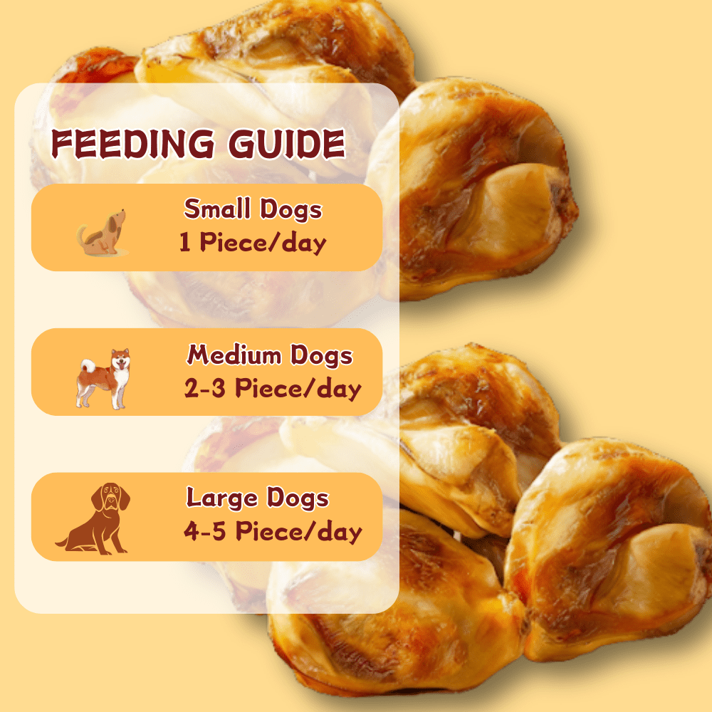 TenderTouch All-Natural, Slow-Roasted Beef Knee Bones, Dental Chews for Dogs, 6 Count Bag