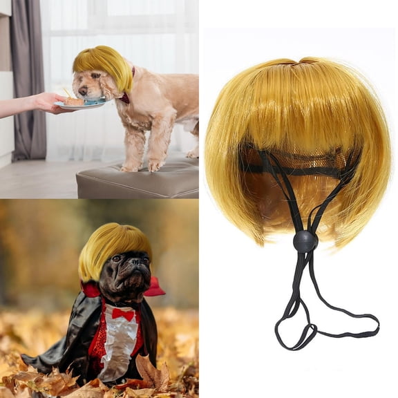 Golden Yellow Pet Hair Accessories Elegant Design Dog Supplies for Your Furry Friend
