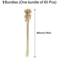 thumbnail image 2 of Tutuviw Dried Bunny Tail Flower Natural Rabbit Tail Dried Flower Bouquet Grass Decor for Home Decor 60 Pcs 40cm/16" Nature Color, Dried Rabbit Tail Grass for Flower Arrangement, 2 of 7