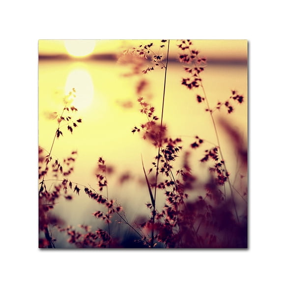 Trademark Fine Art "At the End of the Day" Canvas Art by Beata Czyzowska Young