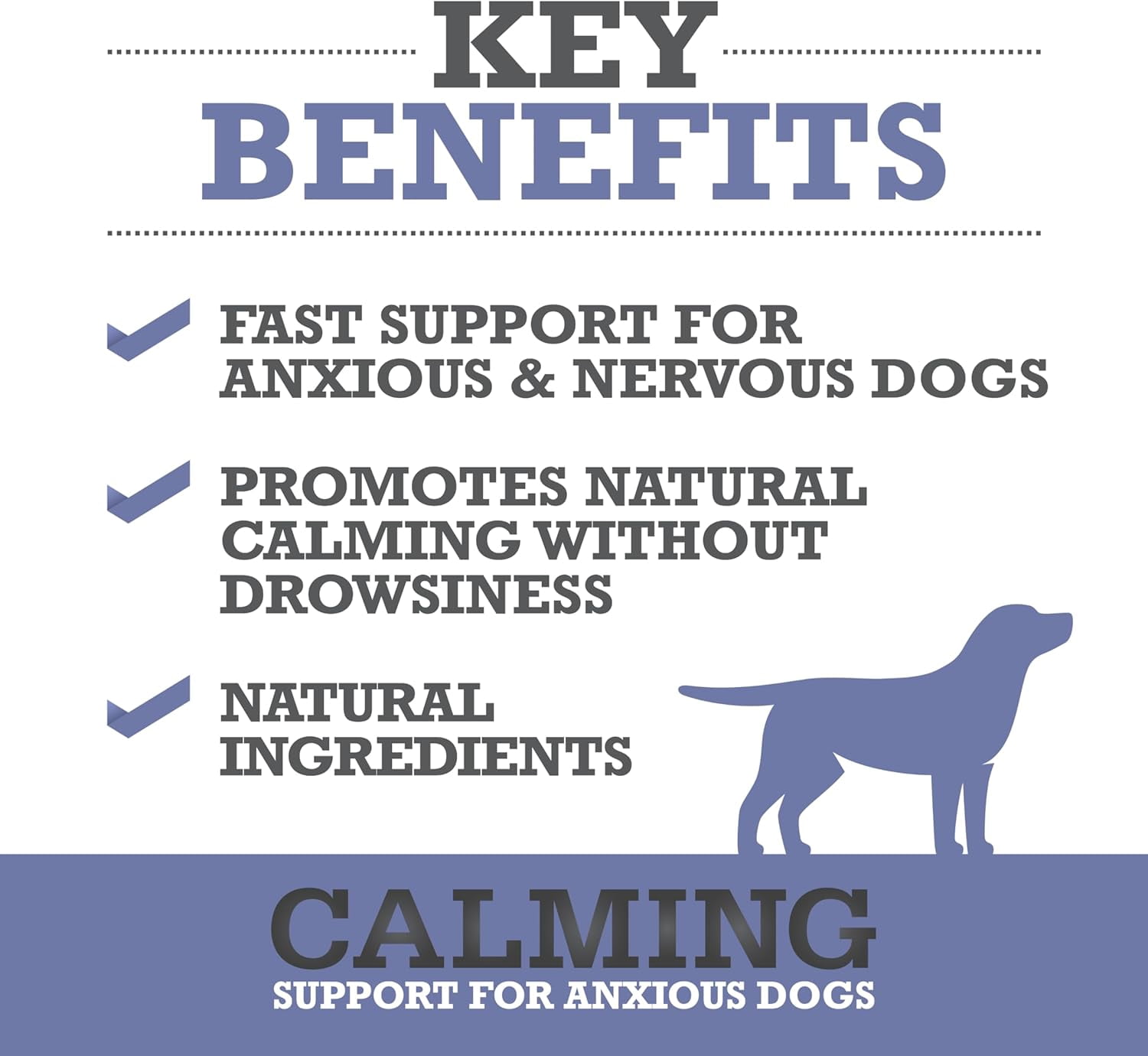 WINPRO Calming Chews for Dogs – Plasma-Powered Soft Chews to Promote Relaxation and Calming Effect – Made With Natural Ingredients, Grain-Free - Suitable for All Breeds & Sizes – 60 Count