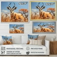 thumbnail image 4 of Designart "Antelope beautyful Wanderer" Animals Floater Framed Canvas Art Print, 4 of 7