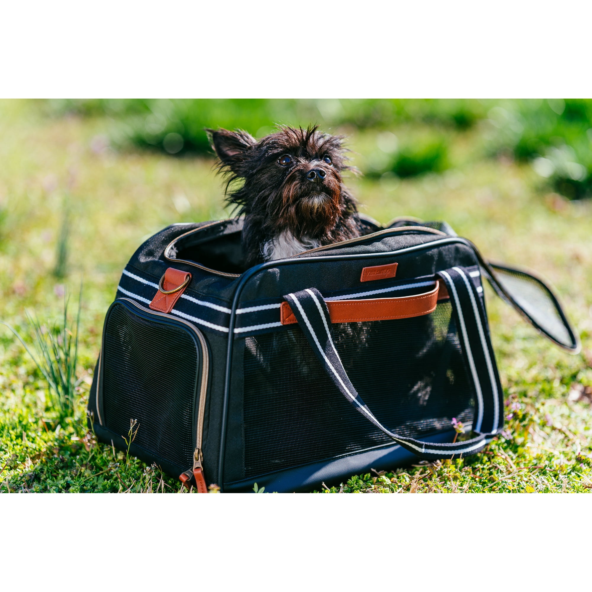 Vibrant Life Small Pet Travel Carrier, Black and Tan, 17" x 10.5" x 11"