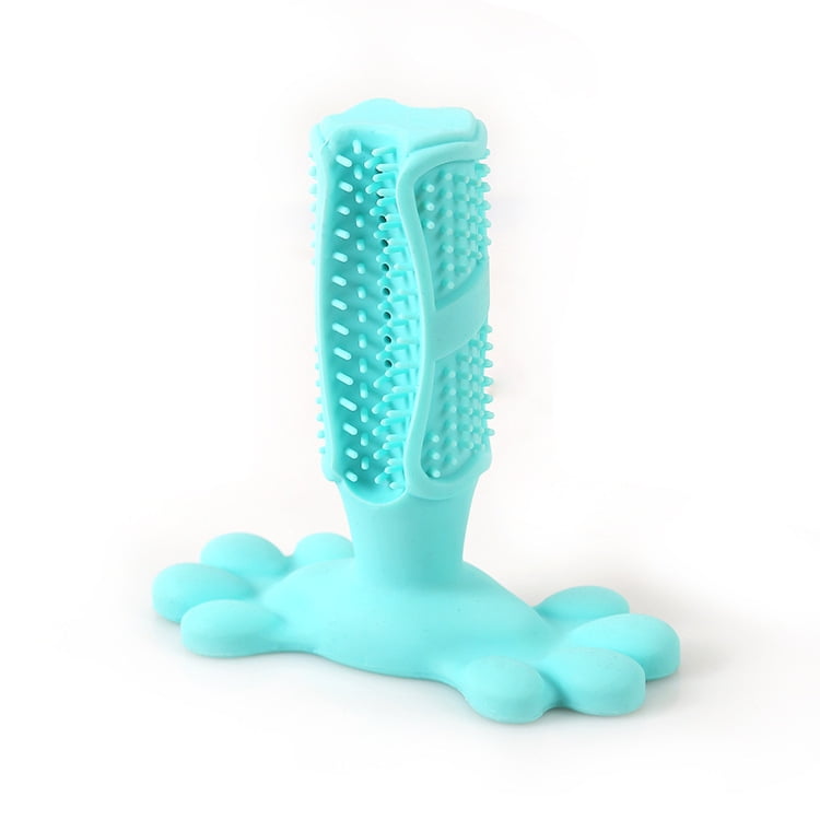 toothbrush stick
