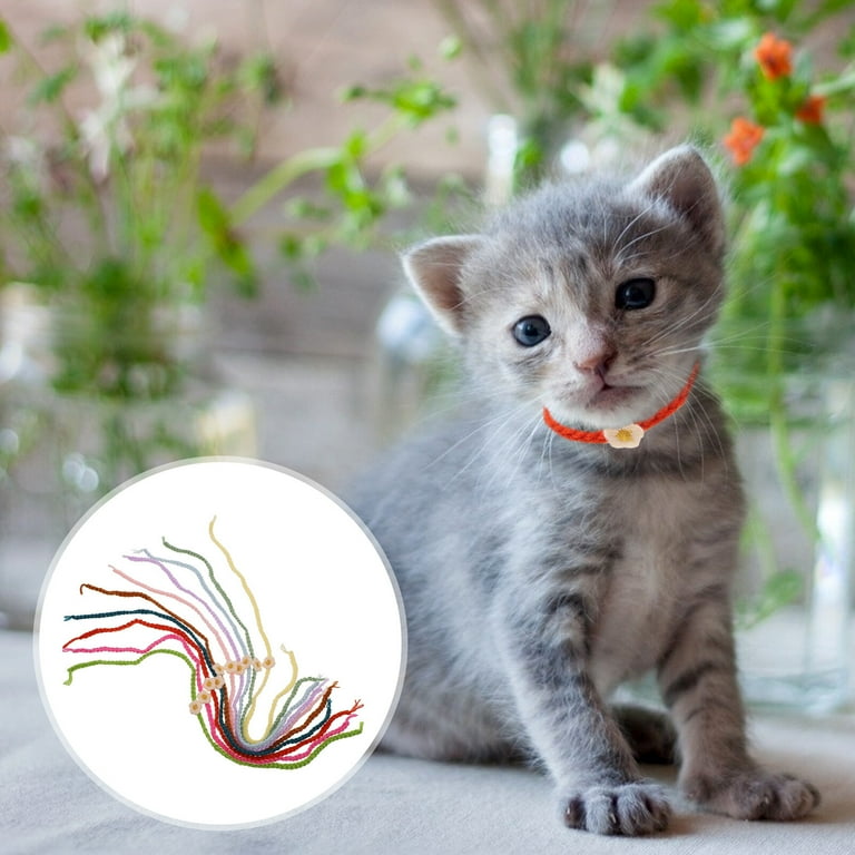 Kitten whelping collars hot sale