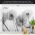 thumbnail image 3 of Floral Wallpaper Wall Mural - Field of Dandelions, 3 of 5