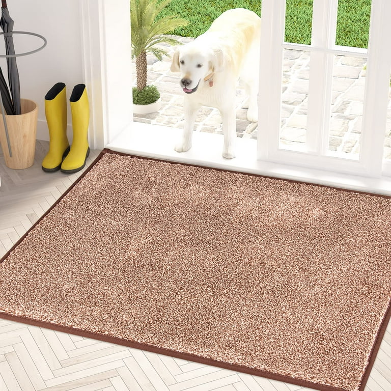 Washable Doormat for Home Dirty Dog Doormat Microfiber Entry