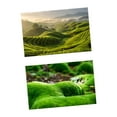 thumbnail image 3 of Fondo de telón de fondo de fotografía fondo de doble cara 57x87cm Muestra la decoración de accesorios de fotos para libros revistas imágenes Estilo D, 3 of 8