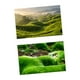 thumbnail image 3 of Fondo para fotografía, versátil, 57x87cm, para terrarios de reptiles. Estilo D, 3 of 9