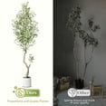 thumbnail image 6 of 2-Pack 7ft Artificial Olive Trees in White Pot - Tall Fake Plants with Lifelike Fruits & Dense Leaves for Modern Home Decor, 6 of 9