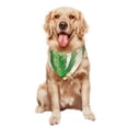thumbnail image 5 of Naloa Cactus And Succulent Dog Bandanas 1PC Washable Triangle Dog Scarfs Premium Durable Fabric, for Small Medium Large Dogs and Cats, 5 of 6