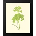 thumbnail image 2 of Lowe, E. J. 15x18 Black Modern Framed Museum Art Print Titled - Woodland Ferns III, 2 of 5