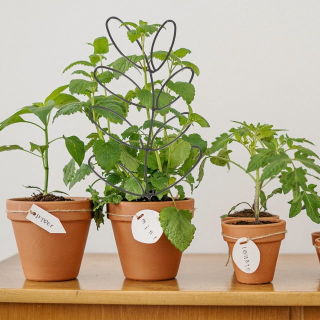 AURARMLET 2Ud Trellis De Hierro Para Plantas Trepadoras Uso Exterior Con Negro
