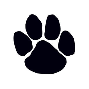Paw Print Temporary Tattoo Walmart Com Walmart Com