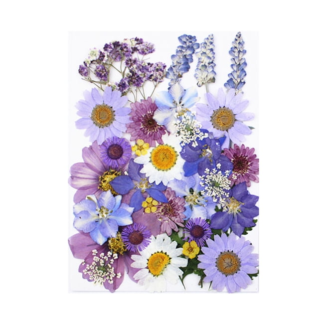 Juego de flores secas Yuarrent herramientas artesanías de maquillaje calcomanía de flores reales