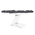 thumbnail image 6 of SKINACT Palma Electric Medical Spa Treatment Chair/Table (Gray), 6 of 13