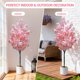 thumbnail image 4 of Yeshouse Cerezo artificial rosa alto y realista: planta decorativa de seda con flores, ideal para interiores y exteriores, oficinas, bodas, fiestas y hoteles, 4 of 9