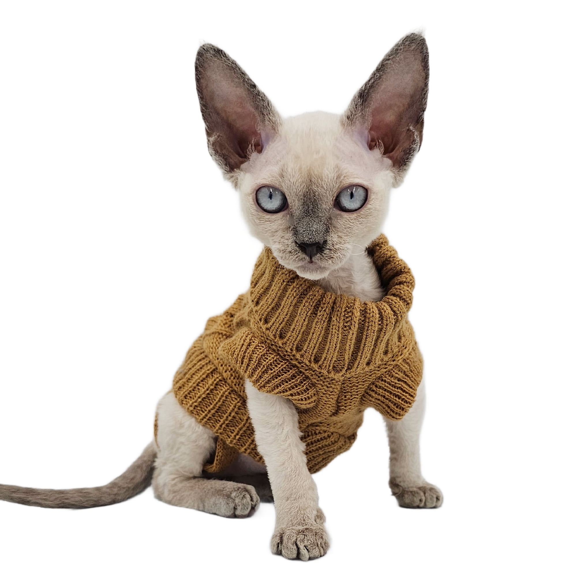 トップス Turtleneck Sage Cat & Mouse 3y 03a8e448-63c5-4efe-acd2-