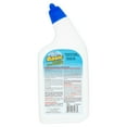 thumbnail image 4 of The Works Basic Deodorizing Toilet Bowl Cleaner, 24 fl oz, Stain Remover, 4 of 5