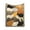 C-12, variant on Colorful Rooster Checkered Print Flannel Throw Blanket Breathable Fabric Funny Farm Quilt for Couch Sofa Bed Decoration
