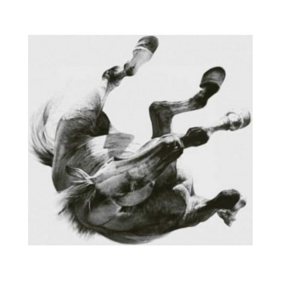 Dark Is The Way. Light Is A Place (CD)