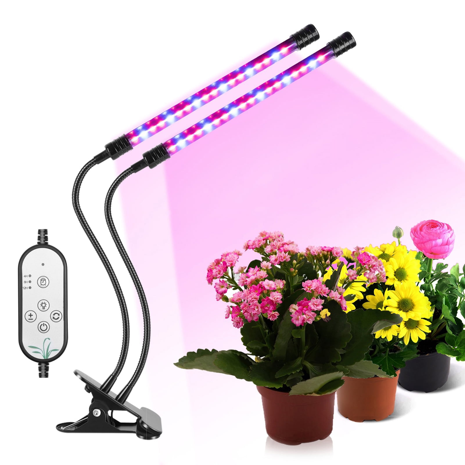 grow light propagator