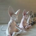 thumbnail image 4 of 1 escultura de gato que medita, decoración de resina, decoración de estatua, adorno artesanal de Yoga, decoración de gato relajado Zen para el hogar y la sala de estar, 10*11*13cm TUNC Sencillez, 4 of 4
