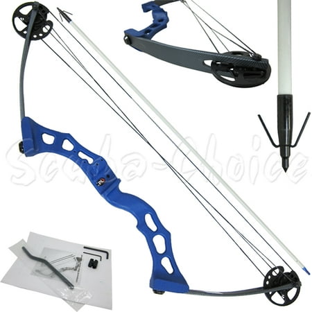 Palantic Archery Bow fishing Blue Adult Compound Bow & Torpedo Tip Arrow (Best Bow Hunting Arrow Tips)