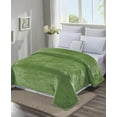 thumbnail image 1 of LushElegance Ultra Plush Queen Size Solid Microplush Blanket (90" x 90") - Sage, 1 of 1