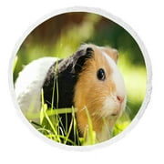 ABPHQTO Guinea Pig Household Pet Round Beach Blanket with Tassels Beach Throw Towel Yoga Mat Picnic Blanket