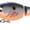 Bleeding Original Shad, variant on Rapala Jointed Shad Rap 07 Crankbait Bleeding Chartreuse Shad