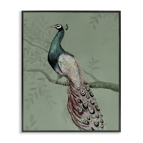 Stupell Industries Regal Peacock on Branch Animals Painting Black Framed Art Print Wall Art, 11 x 14