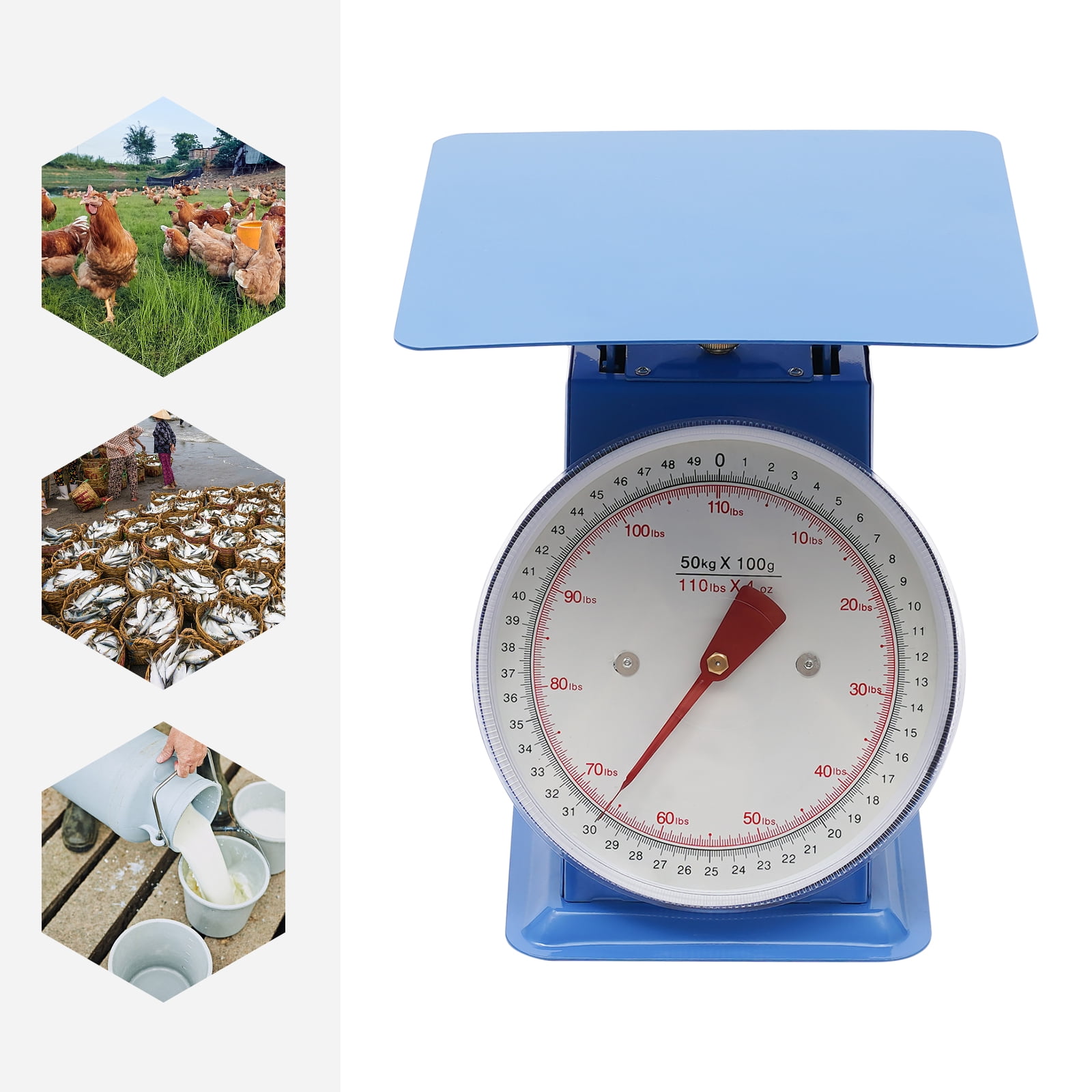 Wildnix Mechanical Scales, High-Quality Iron Construction, Dual-Scale Dial, 110 lbs Capacity, Accurate 0.1kg/0.22lbs Measurements, Easy to Clean, Compact and Portable Design